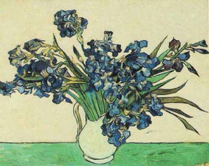 Vincent Van Gogh Vase with Irises France oil painting art